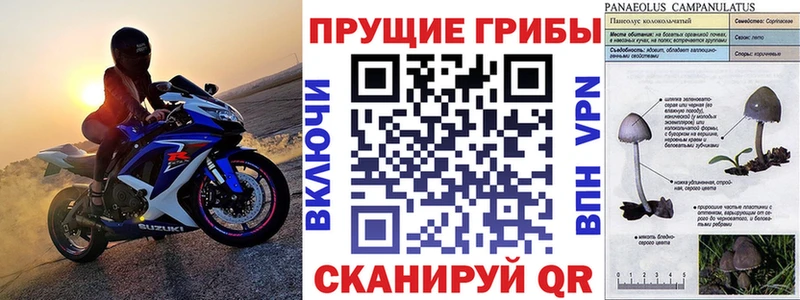 Псилоцибиновые грибы прущие грибы  Байкальск 